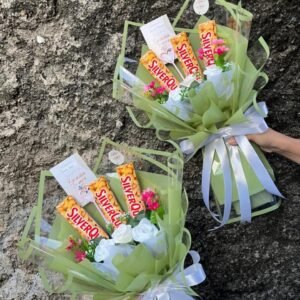 Foodnest Choco Mint